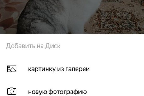 Кракен ссылка замена