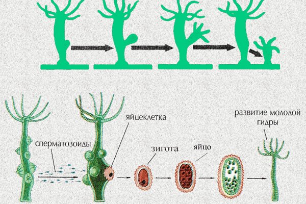 Кракен сайт ссылка kr2web in