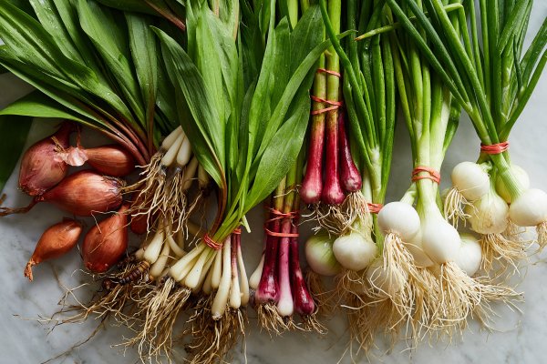 Ссылка на кракен даркнет