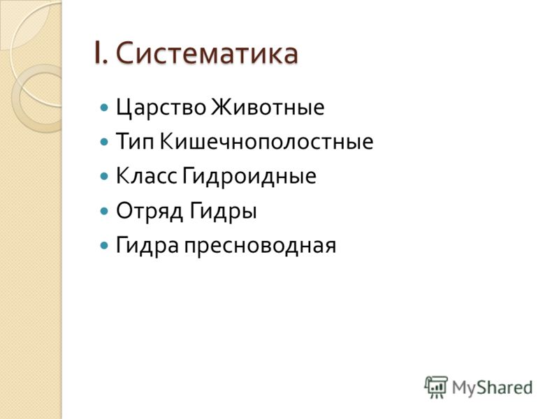 Кракен шоп даркнет