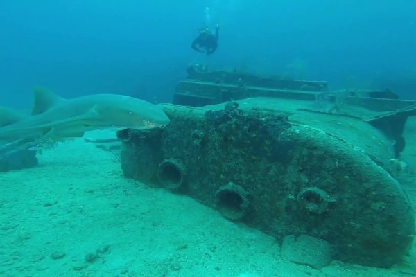 Ссылки даркнета